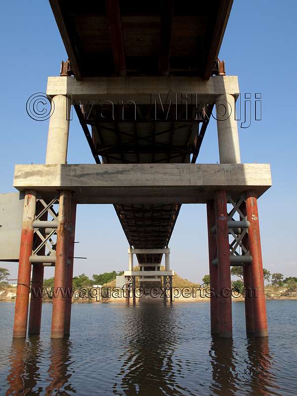 puente del rio cinaruco